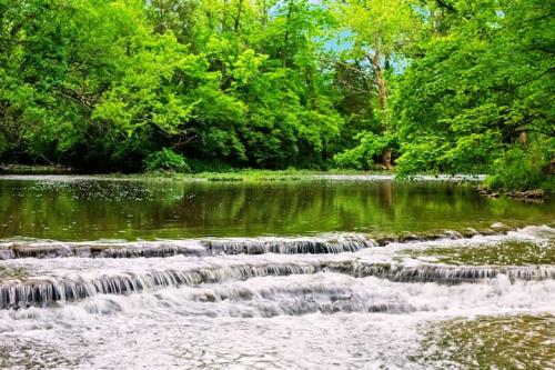 Take a short stroll through the backyard to discover a serene creek flowing through the property—your own private slice of nature.